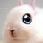 Jezebel